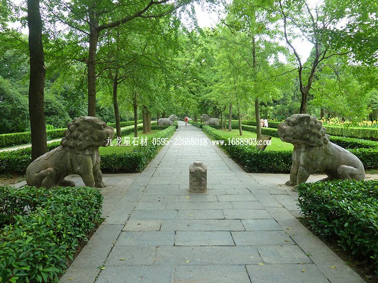 漫談石獅子 - 塘老 -